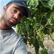 Cours de solfège pour piano Débutant a intermédiaire